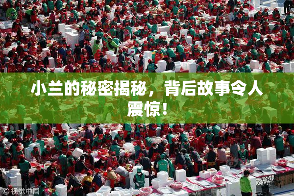 小兰的秘密揭秘，背后故事令人震惊！