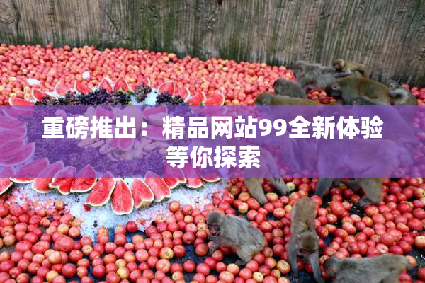 重磅推出：精品网站99全新体验等你探索