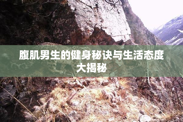 腹肌男生的健身秘诀与生活态度大揭秘