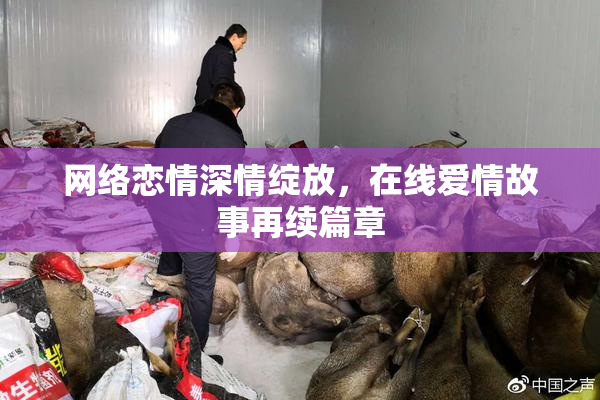网络恋情深情绽放，在线爱情故事再续篇章