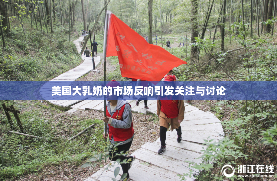 美国大乳奶的市场反响引发关注与讨论
