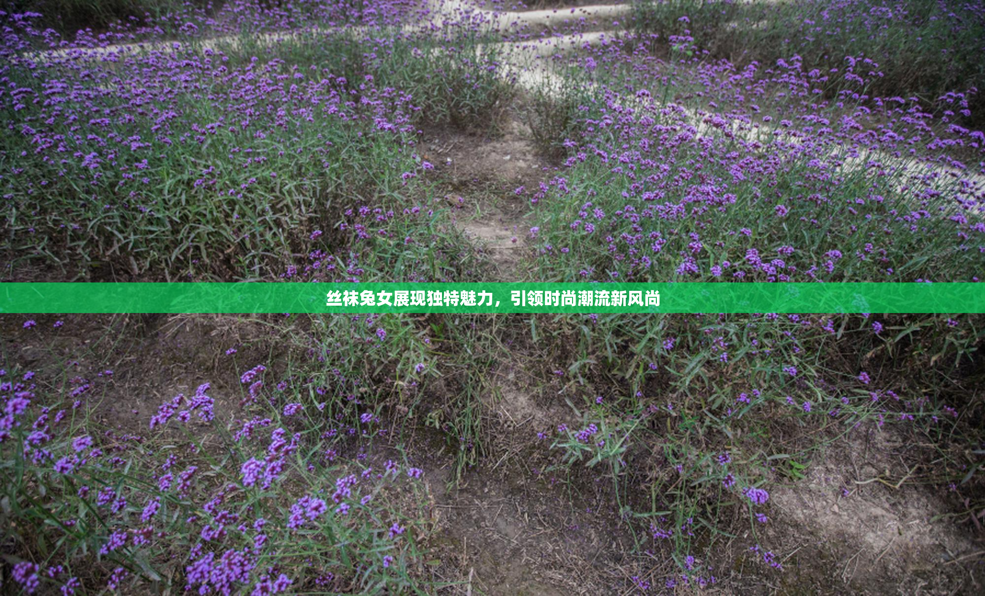 丝袜兔女展现独特魅力，引领时尚潮流新风尚