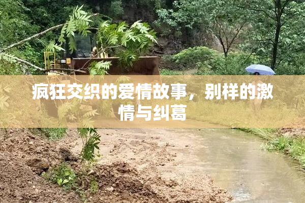 疯狂交织的爱情故事，别样的激情与纠葛