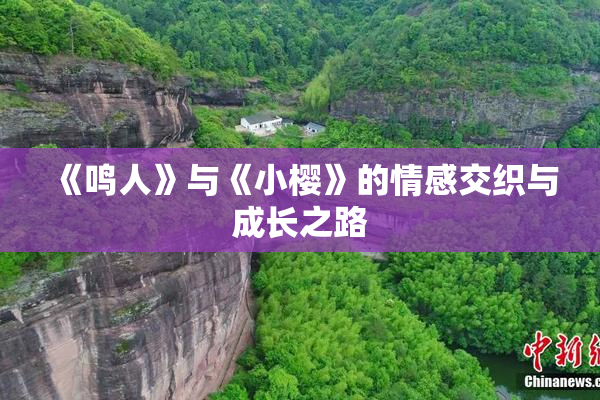 《鸣人》与《小樱》的情感交织与成长之路