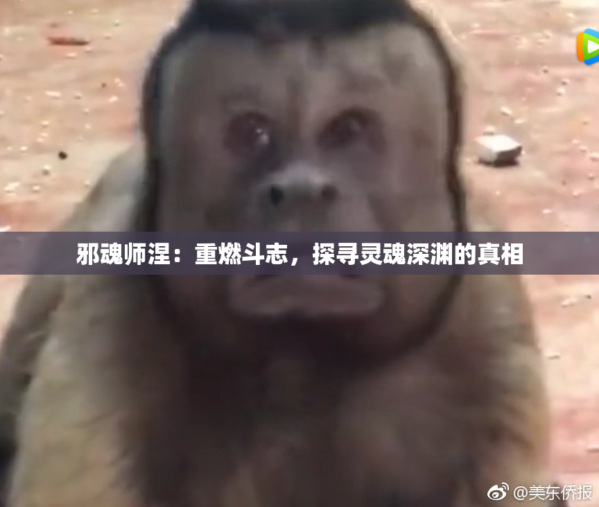 邪魂师涅：重燃斗志，探寻灵魂深渊的真相