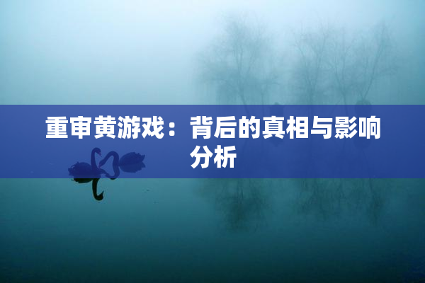 重审黄游戏：背后的真相与影响分析