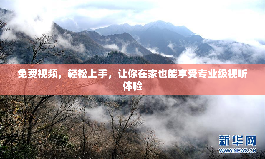 免费视频，轻松上手，让你在家也能享受专业级视听体验