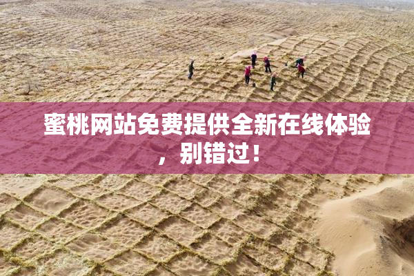 蜜桃网站免费提供全新在线体验，别错过！