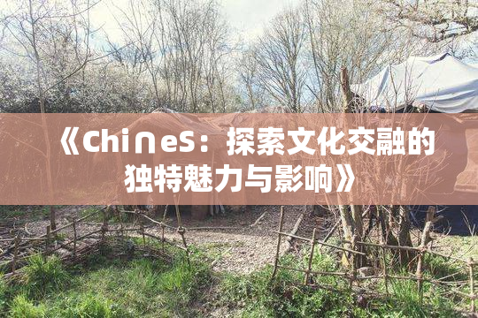 《Chi∩eS：探索文化交融的独特魅力与影响》