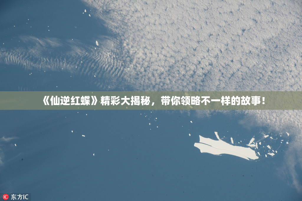 《仙逆红蝶》精彩大揭秘，带你领略不一样的故事！