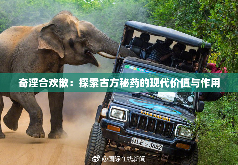 奇淫合欢散：探索古方秘药的现代价值与作用