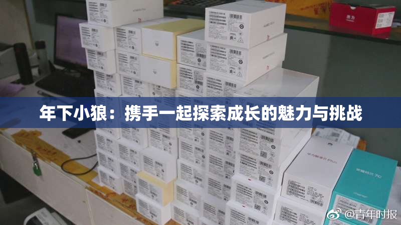年下小狼：携手一起探索成长的魅力与挑战