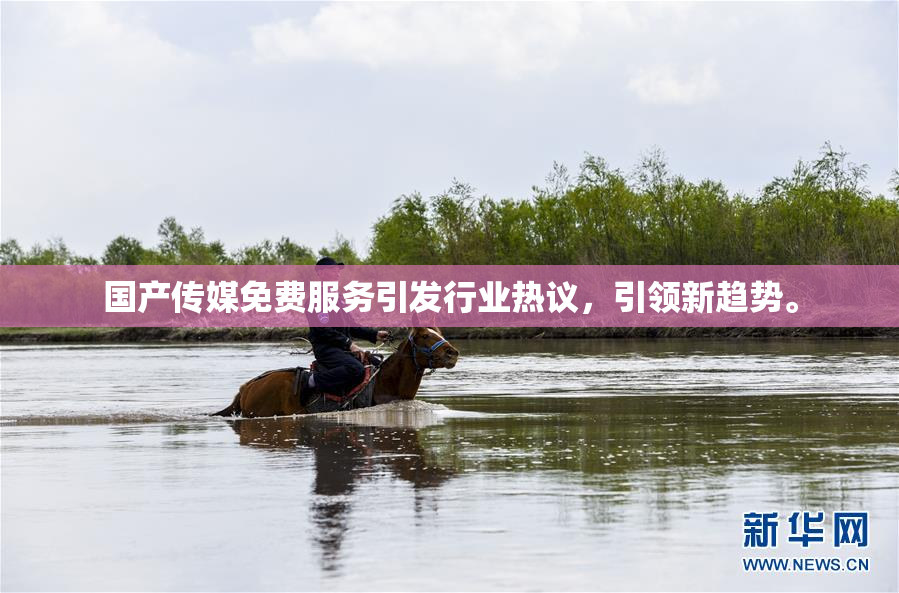 国产传媒免费服务引发行业热议，引领新趋势。