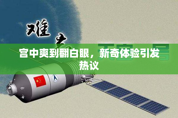 宫中爽到翻白眼，新奇体验引发热议