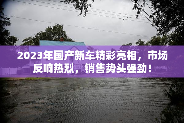 2023年国产新车精彩亮相，市场反响热烈，销售势头强劲！