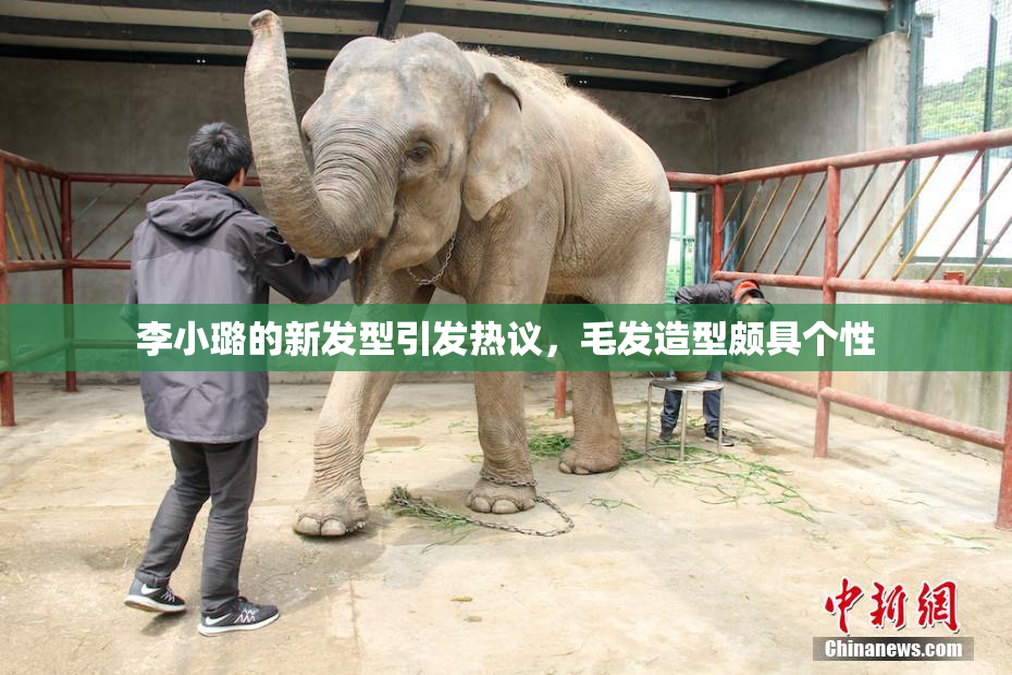 李小璐的新发型引发热议，毛发造型颇具个性