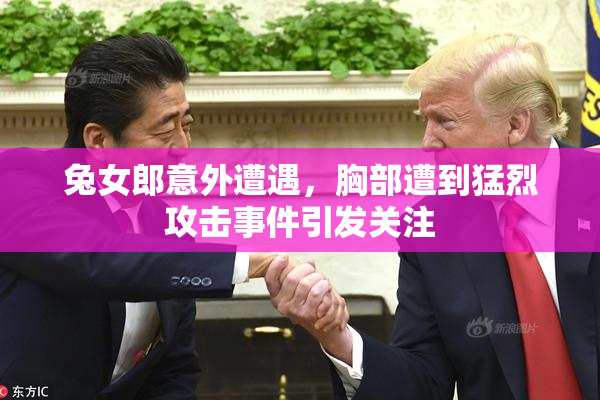 兔女郎意外遭遇，胸部遭到猛烈攻击事件引发关注