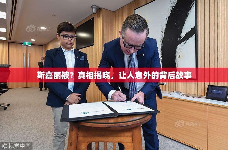 斯嘉丽被？真相揭晓，让人意外的背后故事