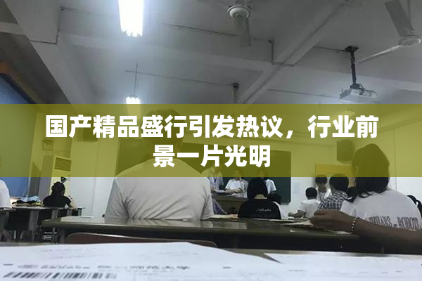 国产精品盛行引发热议，行业前景一片光明