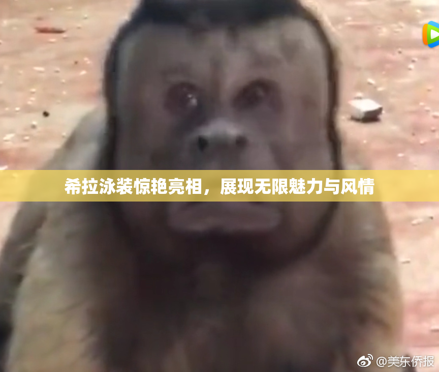 希拉泳装惊艳亮相，展现无限魅力与风情