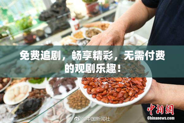 免费追剧，畅享精彩，无需付费的观剧乐趣！