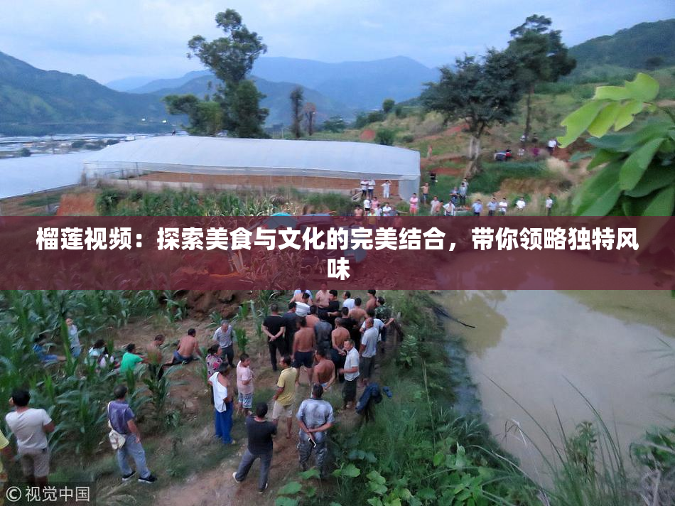 榴莲视频：探索美食与文化的完美结合，带你领略独特风味