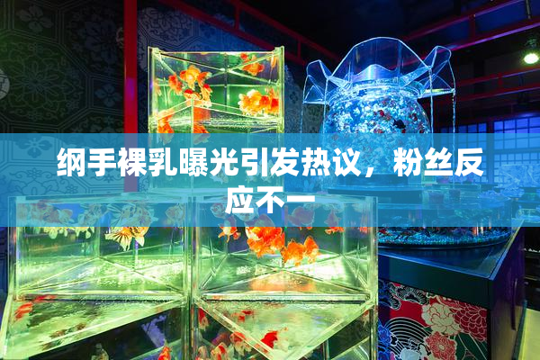 纲手裸乳曝光引发热议，粉丝反应不一