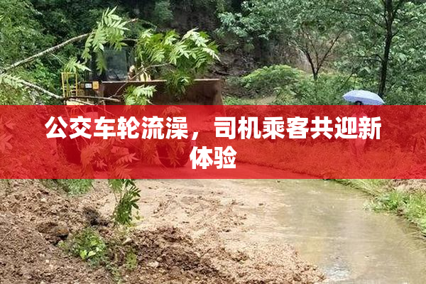 公交车轮流澡，司机乘客共迎新体验