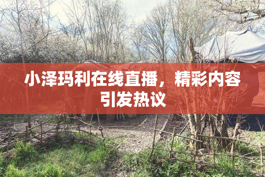 小泽玛利在线直播，精彩内容引发热议