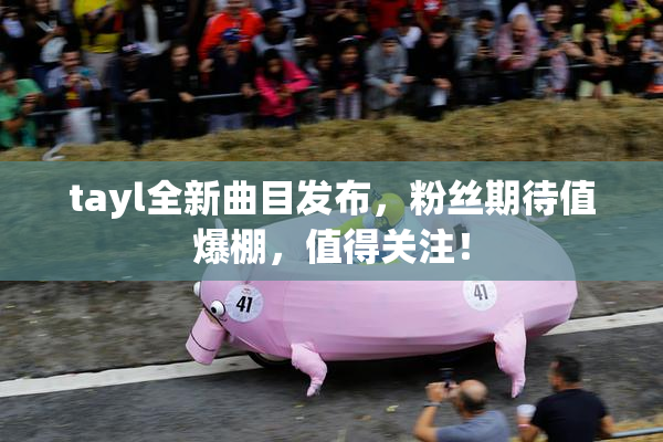 tayl全新曲目发布，粉丝期待值爆棚，值得关注！