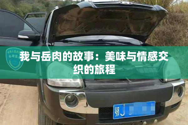 我与岳肉的故事：美味与情感交织的旅程