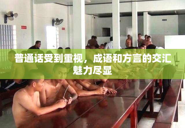 普通话受到重视，成语和方言的交汇魅力尽显