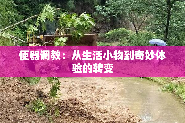 便器调教：从生活小物到奇妙体验的转变