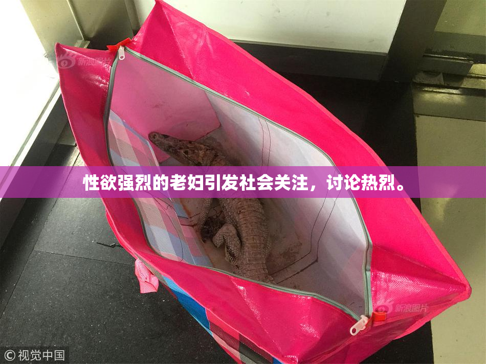 性欲强烈的老妇引发社会关注，讨论热烈。