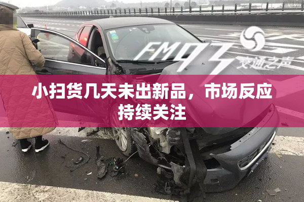 小扫货几天未出新品，市场反应持续关注