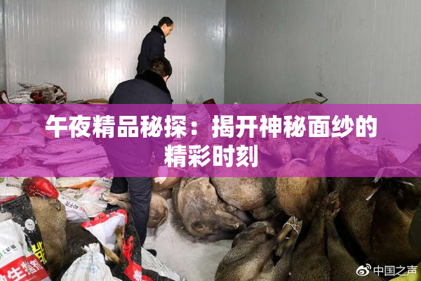 午夜精品秘探：揭开神秘面纱的精彩时刻