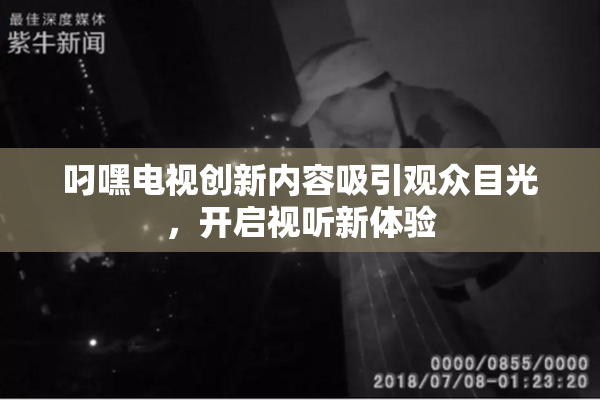 叼嘿电视创新内容吸引观众目光，开启视听新体验