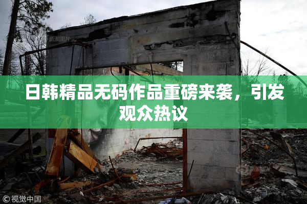 日韩精品无码作品重磅来袭，引发观众热议