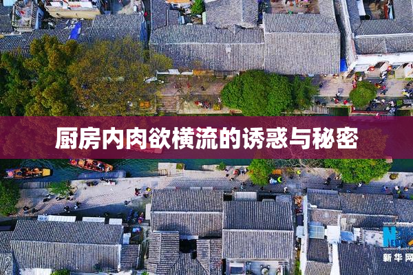 厨房内肉欲横流的诱惑与秘密