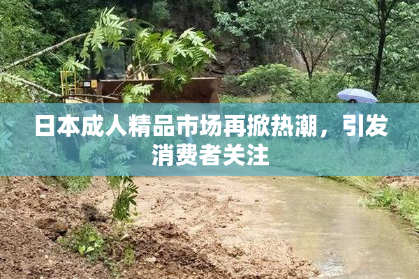 日本成人精品市场再掀热潮，引发消费者关注