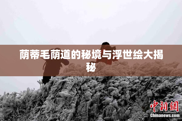荫蒂毛荫道的秘境与浮世绘大揭秘