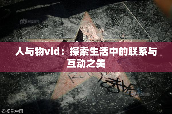 人与物vid：探索生活中的联系与互动之美