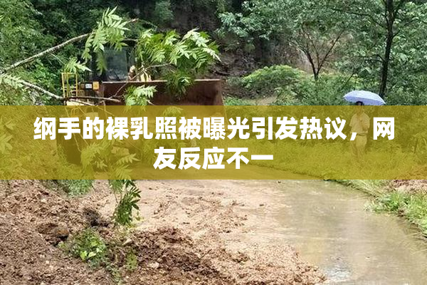 纲手的裸乳照被曝光引发热议，网友反应不一