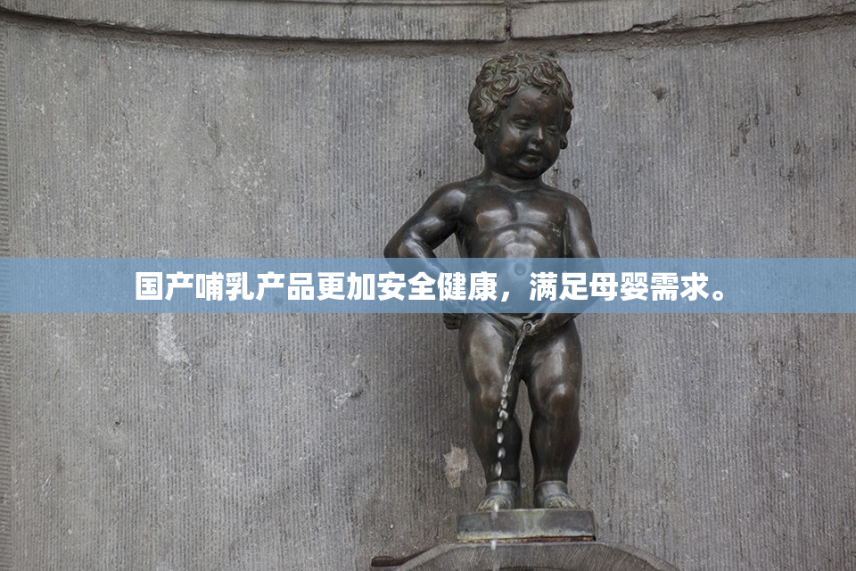 国产哺乳产品更加安全健康，满足母婴需求。