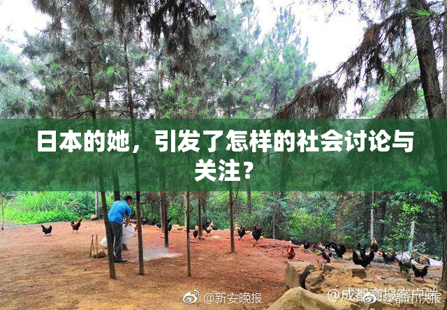 日本的她，引发了怎样的社会讨论与关注？