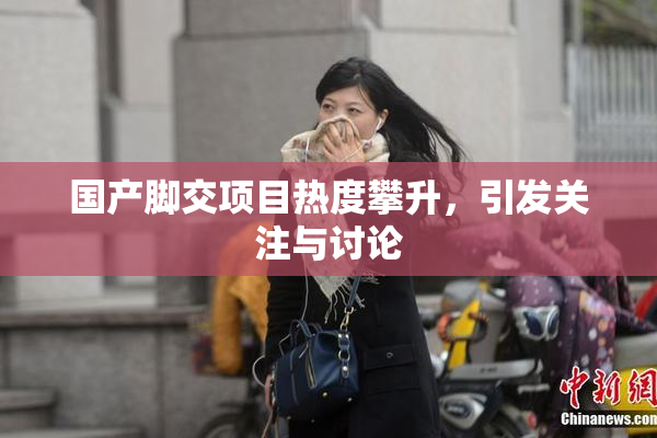 国产脚交项目热度攀升，引发关注与讨论