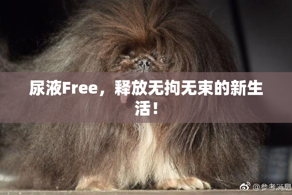 尿液Free，释放无拘无束的新生活！