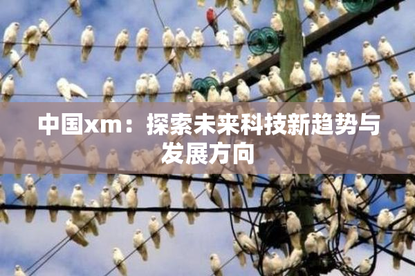 中国xm：探索未来科技新趋势与发展方向