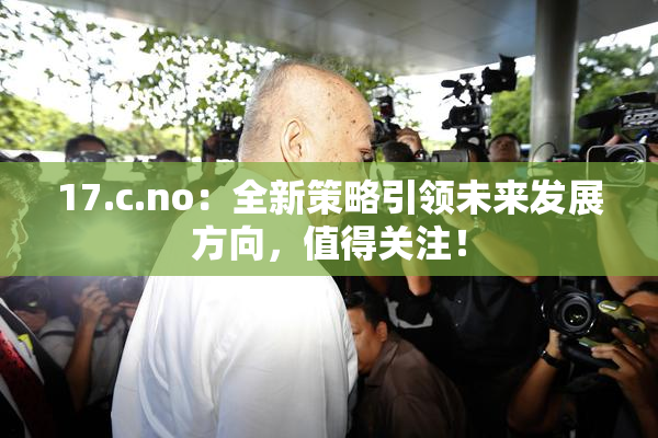 17.c.no：全新策略引领未来发展方向，值得关注！