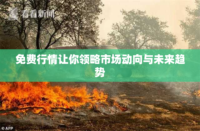 免费行情让你领略市场动向与未来趋势